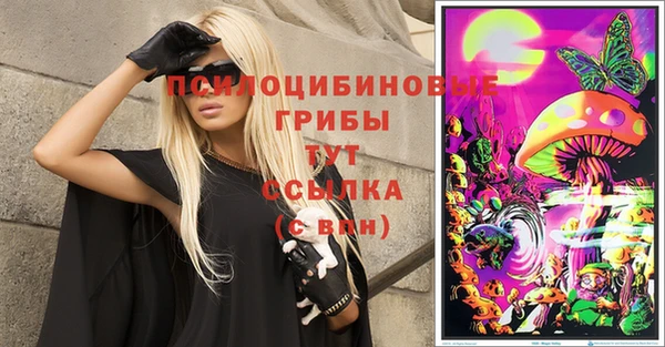 стаф Алексеевка