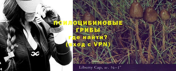 стаф Алексеевка